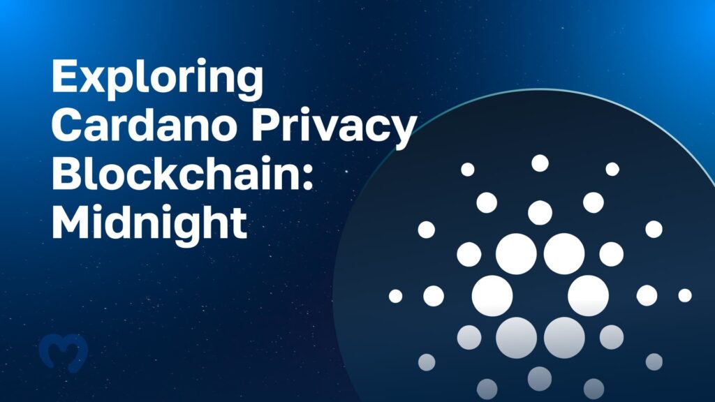 Discover the Best Cardano