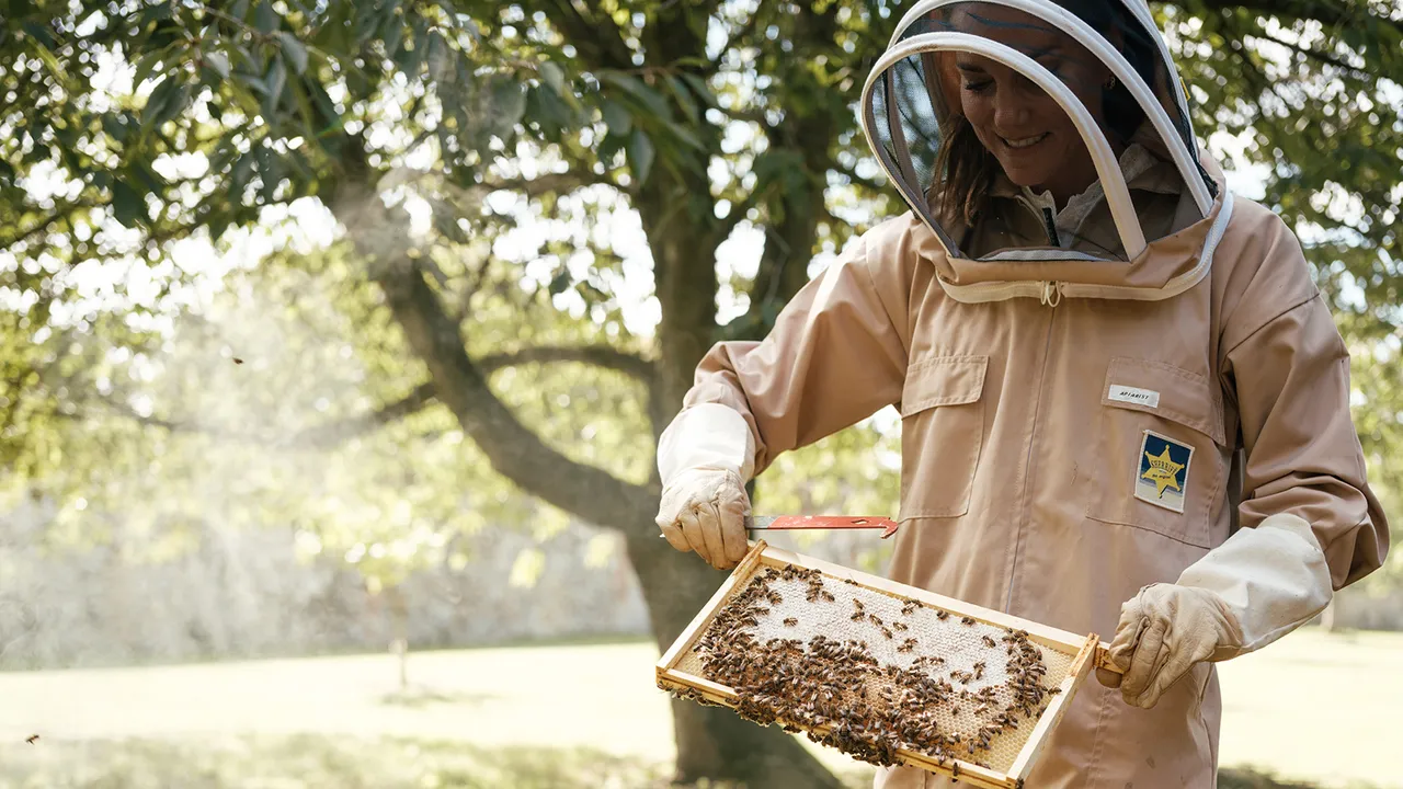 kate-middleton-beekeeping-prince-harry-purple-dress