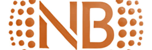 NewsBurryLogo